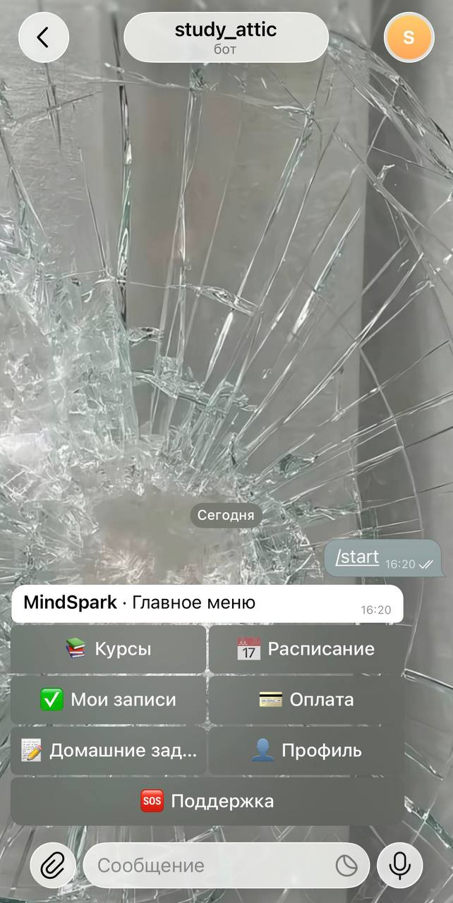 Меню школьного бота